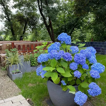 別荘 Am Bunderhammrich 25184 *